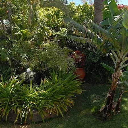 Nogalera